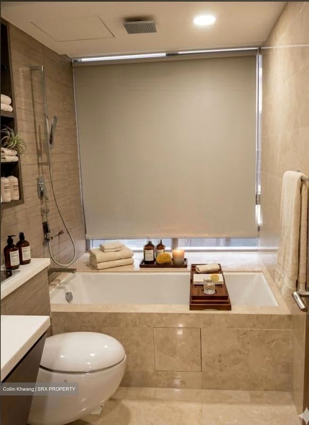 V On Shenton (D1), Apartment #620668701